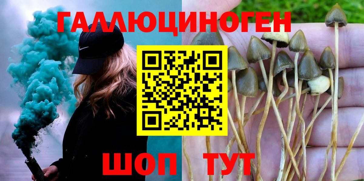 Галлюциногенные грибы Magic Shrooms  Псилоцибиновые грибы Magic Shrooms  что такое наркотик  Вход с VPN  Выборг 